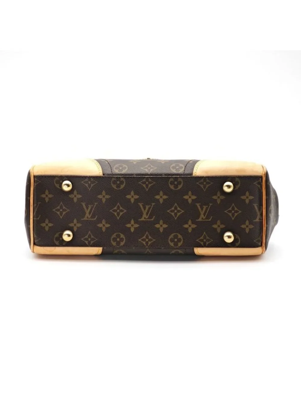 Louis Vuitton brand louis